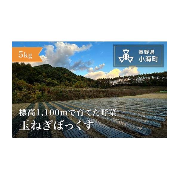 容量5kg発送期日発送は７〜１０月を予定しております。配送常温 定期 別送申込期日9月30日まで事業者あとくら農園申込条件何度も申し込み可