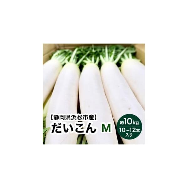 容量【静岡県浜松市産】大根 Mサイズ 約10kg 10〜12本入り 消費期限常温、発送から7日発送期日2025年11月中旬〜2026年2月中旬頃まで配送常温 別送申込期日2026年1月31日まで事業者株式会社浜中申込条件何度も申し込み可、オ...