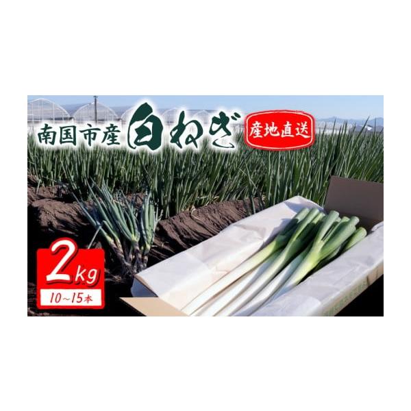 容量・白ねぎ 2kg(10〜15本)                                                    消費期限冷蔵で1〜2週間発送期日決済から2週間前後※天候や生育状況により、前後する場合がございます。...