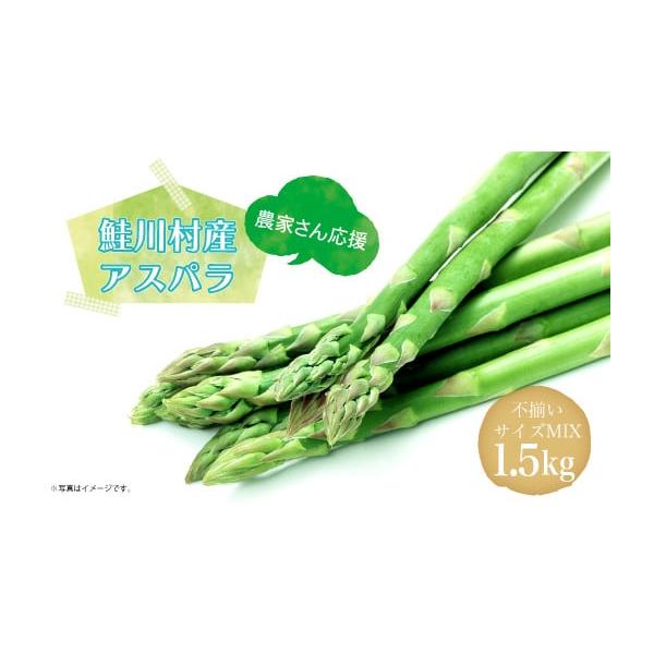 容量アスパラガス 不揃いサイズ MIX 1.5kg消費期限生鮮食品の為、お早目にお召し上がりください。発送期日準備出来次第、受付順にて発送　※発送の際は、メールにてお知らせ令和8年5月上旬〜9月下旬頃まで配送冷蔵 時間指定 別送申込期日令和...