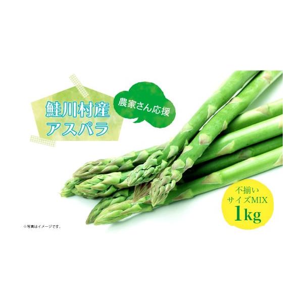 容量アスパラガス 不揃いサイズ MIX 1kg消費期限生鮮食品の為、お早目にお召し上がりください。発送期日準備出来次第、受付順にて発送　※発送の際は、メールにてお知らせ令和8年5月上旬〜9月下旬頃まで配送冷蔵 時間指定 別送申込期日令和8年...