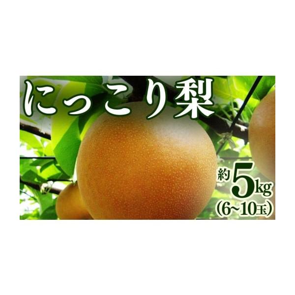 容量にっこり梨1箱（6〜10玉）約5kg消費期限到着後、お早めにお召し上がりください。発送期日入金確認後、2026年9月下旬から10月上旬にかけて発送※発送時期は、例年の発送時期になっております。その年の天候や発育によりお届けが遅れる、又は...