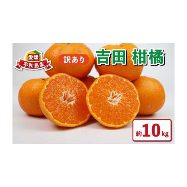 891/抽象画風/柑橘類/F10号 色絵山吹流水文深鉢 | 鶴田 純久の章 お話