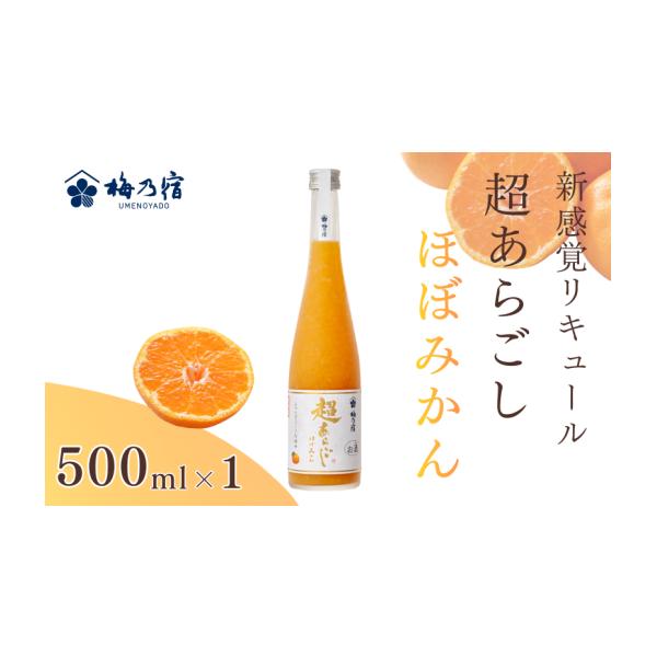 ふるさと納税 お酒 リキュール 奈良県 葛城市 梅乃宿 超あらごし ほぼ