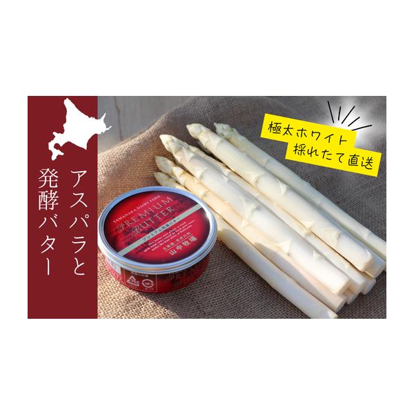容量ホワイトアスパラ（2L〜3L：500g）プレミアム発酵バター（1缶：200g）発送期日２０２６年５月１５日〜６月３０日（予定）★2026年産の先行予約の返礼品となります★※発送時期にご注意ください。配送冷蔵 時間指定 別送申込期日２０２...