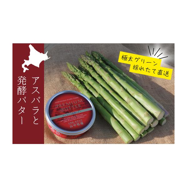 容量グリーンアスパラ（2L〜3L：500g）プレミアム発酵バター（1缶：200g）発送期日２０２６年５月１５日〜６月３０日（予定）★2026年産の先行予約の返礼品となります★※発送時期にご注意ください。配送冷蔵 時間指定 別送申込期日２０２...