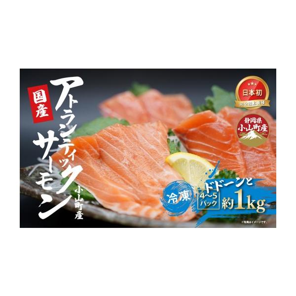 ふるさと納税 魚貝類 サーモン 静岡県 小山町 日本初 完全陸上養殖 静岡県小山町産 アトランティックサーモン 冷凍 4〜5P 約1kg | サーモン 刺身 海鮮丼 小分…