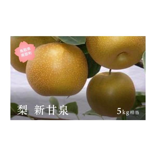 容量5kg※箱の入数(玉数)・大きさはご指定いただけません。発送期日2026年8月下旬〜9月上旬予定※事前にメールにて出荷予定のご案内をいたします。 配送常温 時間指定 別送申込期日2026年7月末事業者米子・あいみ果実部申込条件何度も申し込み可