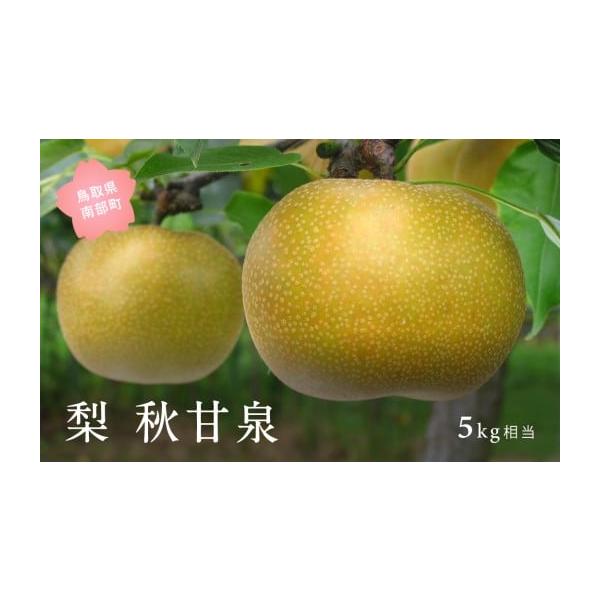 容量5kg※箱の入数(玉数)・大きさはご指定いただけません。発送期日2026年9月中旬予定事前にメールにて出荷予定のご案内をいたします。 配送常温 時間指定 別送申込期日2026年8月下旬事業者米子・あいみ果実部申込条件何度も申し込み可