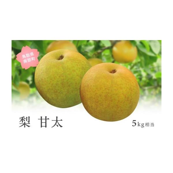 容量5kg※箱の入数(玉数)・大きさはご指定いただけません。発送期日2026年9月下旬出荷予定※事前にメールにて出荷予定のご案内をいたします。 配送常温 時間指定 別送申込期日2026年9月上旬事業者米子・あいみ果実部申込条件何度も申し込み可