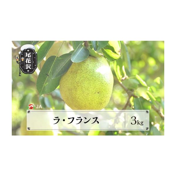 容量約3kg 秀以上発送期日11月上旬〜11月中旬頃 順次発送 ※生育の状況により多少前後することがあります。配送常温 時間指定 別送申込期日10月10日まで事業者JAみちのく村山 尾花沢産地直売所申込条件何度も申し込み可