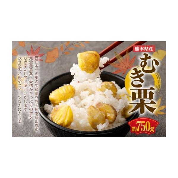 容量約750g消費期限賞味期限：収穫後から180日間発送期日2025年11月下旬〜2026年3月下旬にかけて順次発送予定配送冷凍 時間指定 別送申込期日〜2026年3月15日まで寄附受付事業者すみれファーム申込条件何度も申し込み可