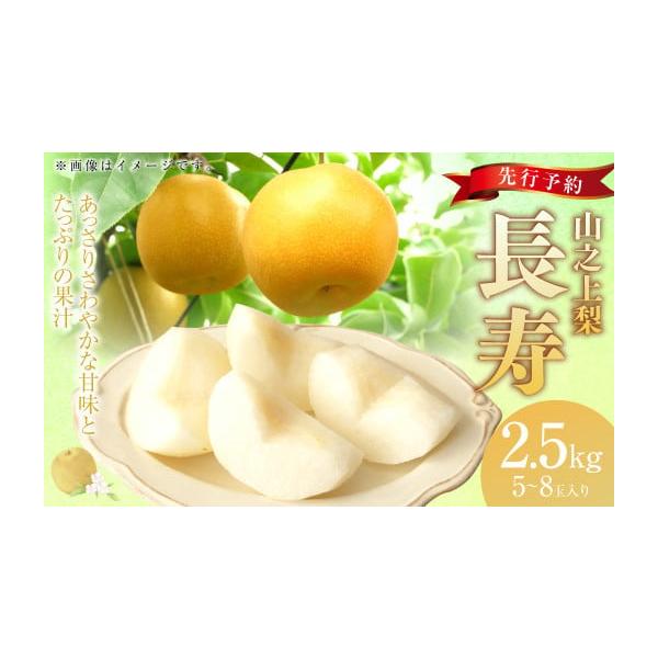 容量約2.5kg（5〜8玉）消費期限【賞味期限】発送日から冷蔵で4日発送期日2026年7月下旬〜8月上旬発送予定配送冷蔵 時間指定 別送申込期日2026年7月19日※または数量に達するまで事業者丸坂山田農園株式会社申込条件何度も申し込み可