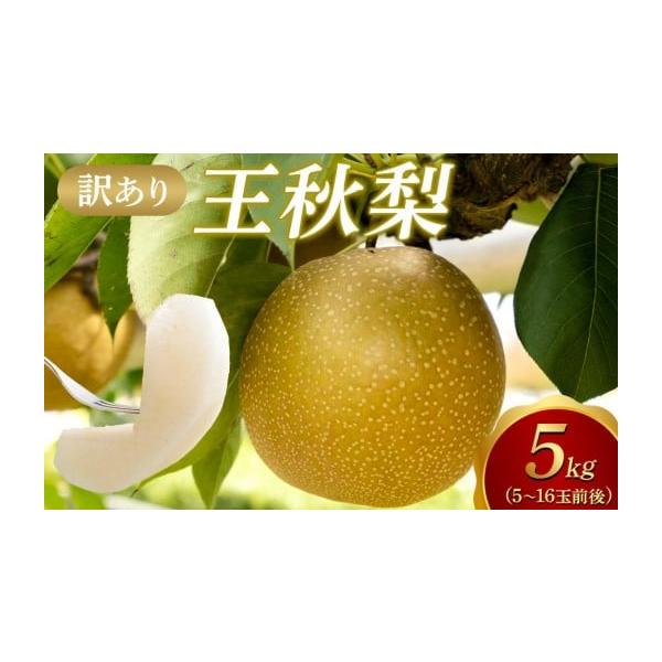 容量【訳あり】王秋梨 ・５ｋｇ（5〜16玉）消費期限生鮮食品ですのでなるべくお早めにお召し上がりください。本商品は「訳あり品」となります。生育過程や輸送の都合により、表面に多少の傷や擦れが生じる場合がございますが、品質や味には問題ございませ...