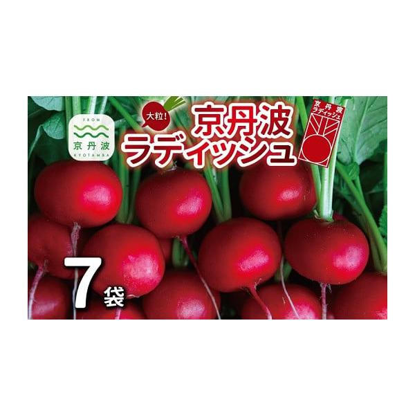 容量・京丹波ラディッシュ（5玉入り／袋） 7袋消費期限賞味期限　商品お届け後約5日間（要冷蔵）発送期日決済から1ヶ月程度で発送配送常温 冷蔵 時間指定 別送申込期日通年随時受付※北海道・沖縄・その他離島への配送不可事業者(株)農都申込条件何...