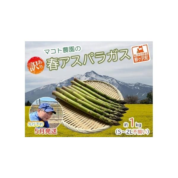 容量春芽グリーンアスパラガス 約1kg(35本前後）、S〜2Lサイズ不揃い規格外品消費期限冷蔵5日発送期日2026年5月10日〜2026年6月10日配送冷蔵 別送申込期日2026年5月31日まで事業者マコトアスパラ農園申込条件何度も申し込み可