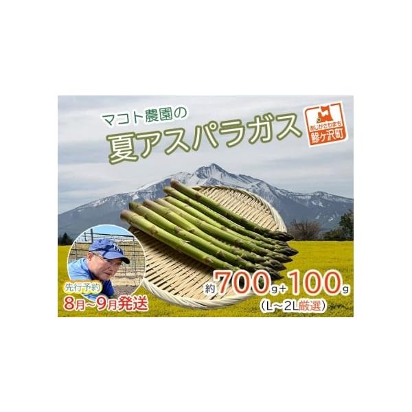 容量夏芽グリーンアスパラガス 約700g+100g（25本前後）、L〜2Lサイズ厳選消費期限冷蔵5日発送期日2026年8月1日〜2026年9月10日配送冷蔵 別送申込期日2026年8月31日まで事業者マコトアスパラ農園申込条件何度も申し込み可