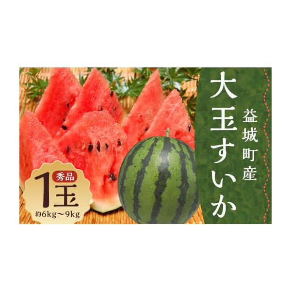 容量1玉（6〜9kg）サイズ：L〜3L混合※本数・大きさのご指定はできません。消費期限賞味期限：生ものですのでお早めにお召し上がりください。発送期日2026年5月下旬〜7月下旬発送予定配送常温 時間指定 別送申込期日2026年6月30日まで...