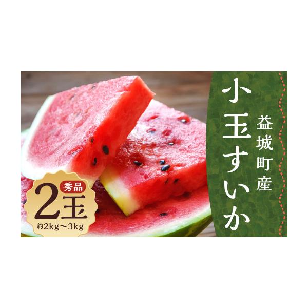 容量2玉（2〜3kg）サイズ：L〜3L混合※本数・大きさのご指定はできません。消費期限賞味期限：生ものですのでお早めにお召し上がりください。発送期日2026年5月下旬〜7月下旬発送予定配送常温 時間指定 別送申込期日2026年6月30日まで...