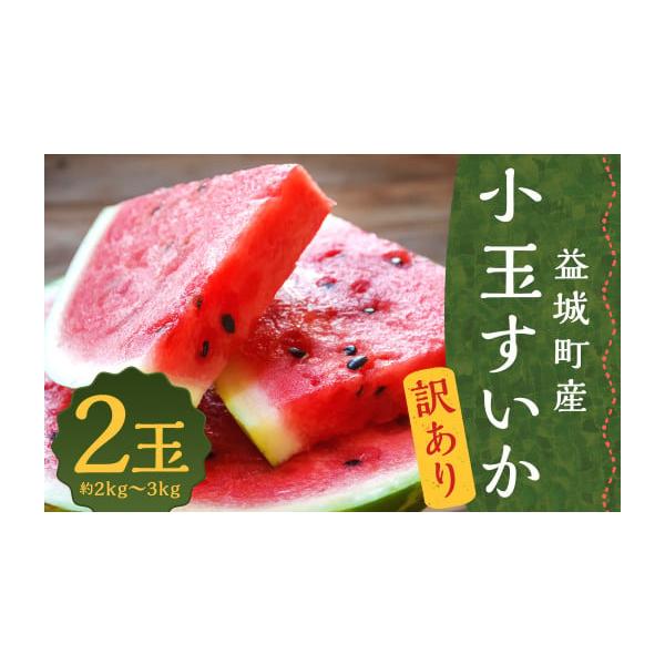 容量2玉（2玉2〜3kg）サイズ：L〜3L混合※本数・大きさのご指定はできません。消費期限賞味期限：生ものですのでお早めにお召し上がりください。発送期日2026年5月下旬〜7月下旬発送予定配送常温 時間指定 別送申込期日2026年6月30日...