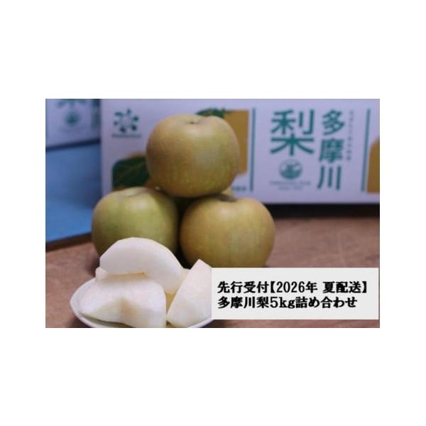 容量多摩川梨５ｋｇ消費期限発送より７日程度（高温、多湿、直射日光を避け涼しい場所に保管。長期保管は避けてお早めにお召し上がりください。）発送期日ご入金確認後、2026年8月中旬より順次発送させていただきます。（※天候によって生育状況が変化す...