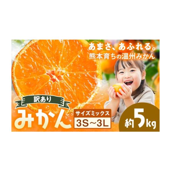 みかん・柑橘類 熊本県 荒尾市 訳あり 温州みかん サイズミックス 3S 〜 3L 約5kg 日本フルーツ株式会社《10月中旬-2月下旬頃出荷》熊本県 荒尾…