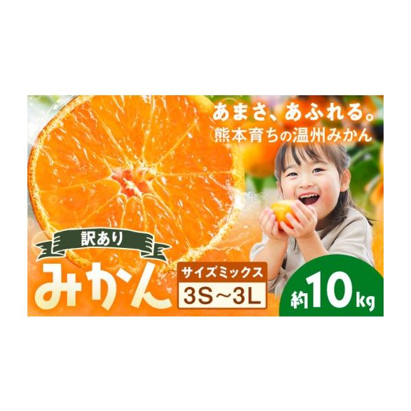 みかん・柑橘類 熊本県 荒尾市 訳あり 温州みかん サイズミックス 3S 〜 3L 約10kg 日本フルーツ株式会社《10月中旬-2月下旬頃出荷》熊本県 荒尾…