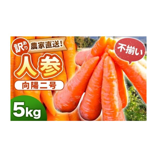 容量5kg消費期限生鮮食品のためお早めにお召し上がりください。発送期日2025年12月上旬〜2026年2月下旬頃発送予定配送常温 別送申込期日〜2026年1月31日事業者アグリ福ちゃん申込条件何度も申し込み可