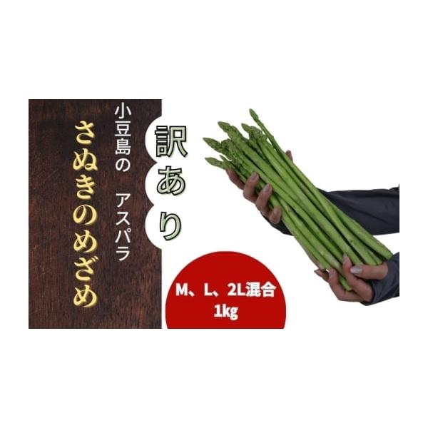 容量アスパラ（ワケアリ）M、L、2L混合1キロ 発送期日2026年4月以降発送開始配送冷蔵 別送申込期日2026年8月31日まで事業者一般社団報人setouchiとのしょう申込条件何度も申し込み可