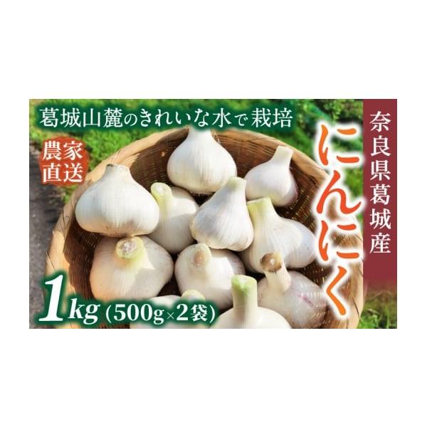 容量約1kg(500g×2袋)消費期限【賞味期限】出荷日から約6ヵ月【保存方法】到着後は冷暗所で保管してください。※※お受け取り後、すぐに箱の中身をご確認ください。発送期日2026年5月上旬〜7月下旬順次発送いたします。※受取日の指定は対応...