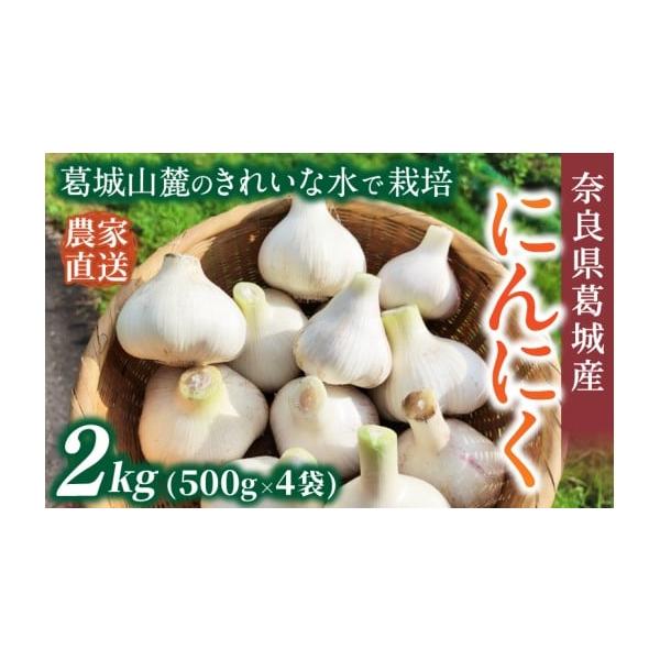 容量約2kg(500g×4袋)消費期限【賞味期限】出荷日から約6ヵ月【保存方法】到着後は冷暗所で保管してください。※※お受け取り後、すぐに箱の中身をご確認ください。発送期日2026年5月上旬〜7月下旬順次発送いたします。※受取日の指定は対応...