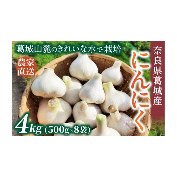 容量約4kg(500g×8袋)消費期限【賞味期限】出荷日から約6ヵ月【保存方法】到着後は冷暗所で保管してください。※※お受け取り後、すぐに箱の中身をご確認ください。発送期日2026年5月上旬〜7月下旬順次発送いたします。※受取日の指定は対応...
