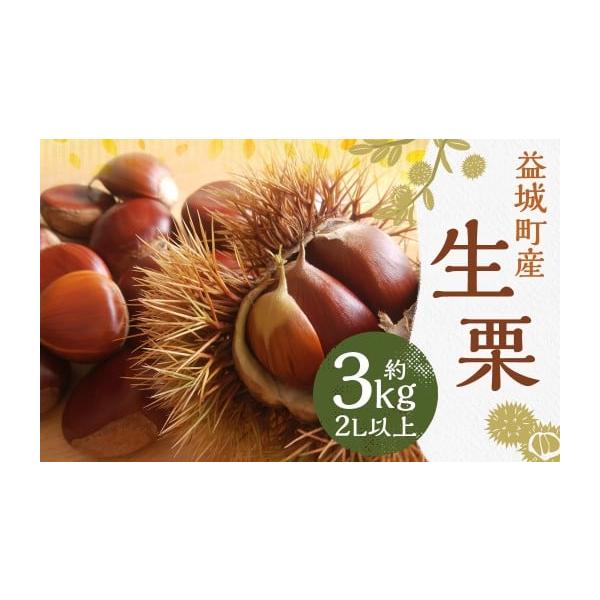 容量約3kg消費期限賞味期限：発送日から5日以内発送期日2026年9月上旬〜10月上旬発送予定配送冷蔵 時間指定 別送申込期日2026年9月20日まで事業者日本フルーツ株式会社熊本事業所申込条件何度も申し込み可