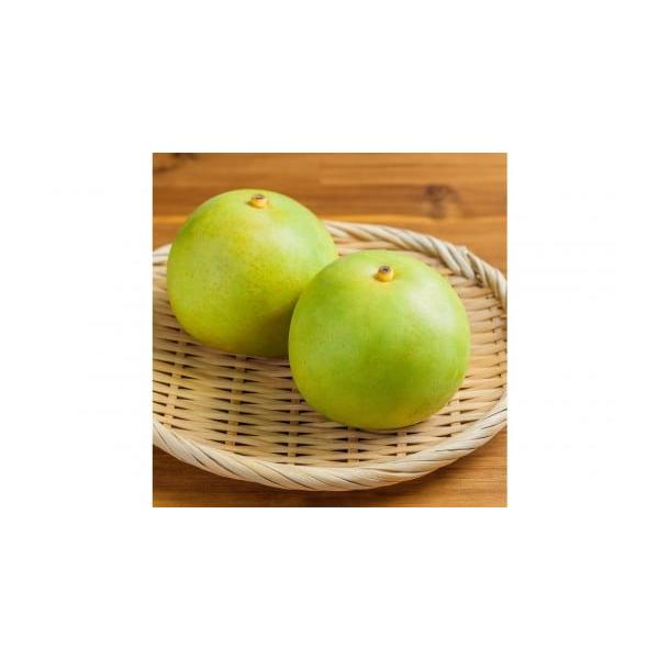 容量二十世紀 3kg原産国／製造国：日本産地（都道府県）：鳥取製造者：東商果樹園　鳥取県東伯郡北栄町六尾247-14消費期限常温で約1週間【保存方法】常温発送期日9月上旬より順次発送配送常温 時間指定 別送申込期日〜2026年9月5日　※所...