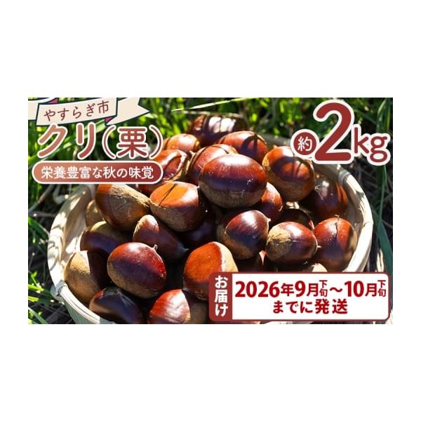 容量■栗　2袋（2kg）消費期限生栗のため、お早めにお召し上がりください。発送期日９月下旬〜１０月下旬※生栗のためお早めにお召し上がりください。配送常温 のし 時間指定 別送申込期日2026年10月11日まで事業者協同組合やすらぎ市申込条件...