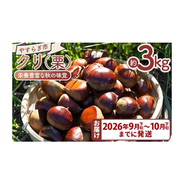 容量■栗　3袋（3kg）消費期限生栗のため、お早めにお召し上がりください。発送期日９月下旬〜１０月下旬※生栗のためお早めにお召し上がりください。配送常温 のし 時間指定 別送申込期日通年事業者協同組合やすらぎ市申込条件何度も申し込み可