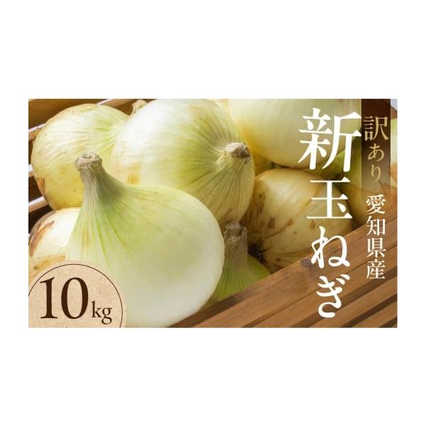 容量●新玉ねぎ 大玉 10kg（訳あり品：小傷・変形あり）発送期日お届け時期：3月〜5月頃（収穫状況により前後する場合があります）※訳あり品のため、表皮の傷・変形・サイズ不揃いが含まれます。※寄付申込み後のキャンセル、返礼品の変更・返品はで...
