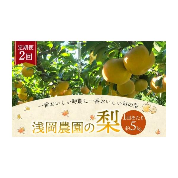 容量約5kg×2回お届け※ 寄附確認後の2026年9月上旬〜10月下旬迄毎月1回お届けいたします。（計2回）消費期限賞味期限：発送日から7日発送期日寄附確認後の2026年9月上旬〜10月下旬迄毎月1回お届けいたします。（計2回）配送冷蔵 定...