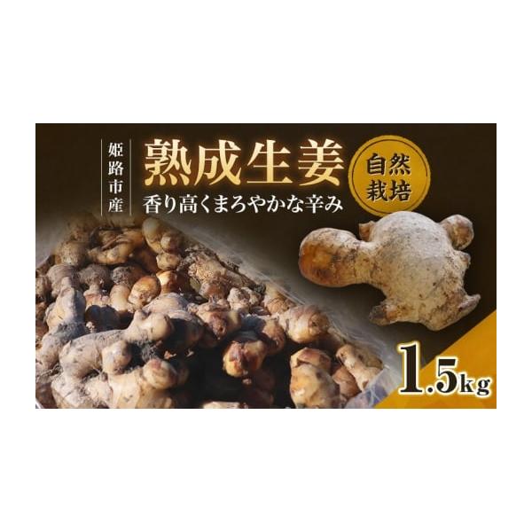 容量生産地：兵庫県姫路市生産：ありありファームブランド：姫路産生姜品種：高知大生姜収穫：2025年10月〜12月頃お届け量：1.5kg保存期間：常温 約1ヶ月　　　　　　　 冷凍 約3週間　　　　　　　 蒸生姜 約3ヶ月最適保存温度：14〜...