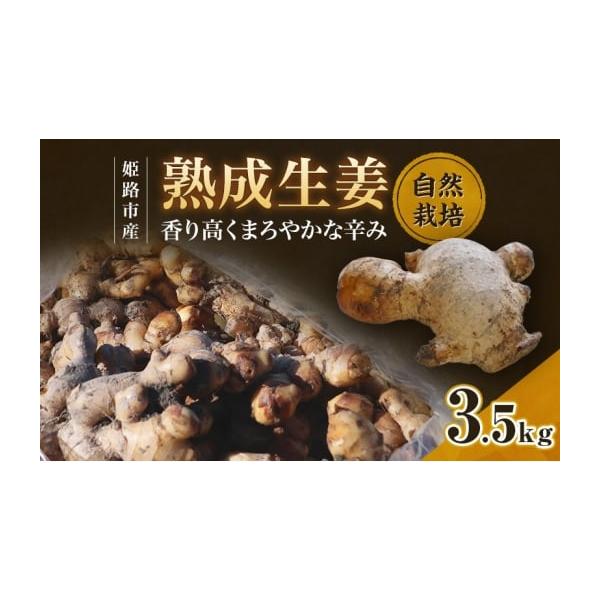 容量生産地：兵庫県姫路市生産：ありありファームブランド：姫路産生姜品種：高知大生姜収穫：2025年10月〜12月頃お届け量：3.5kg保存期間：常温 約1ヶ月　　　　　　　 冷凍 約3週間　　　　　　　 蒸生姜 約3ヶ月最適保存温度：14〜...