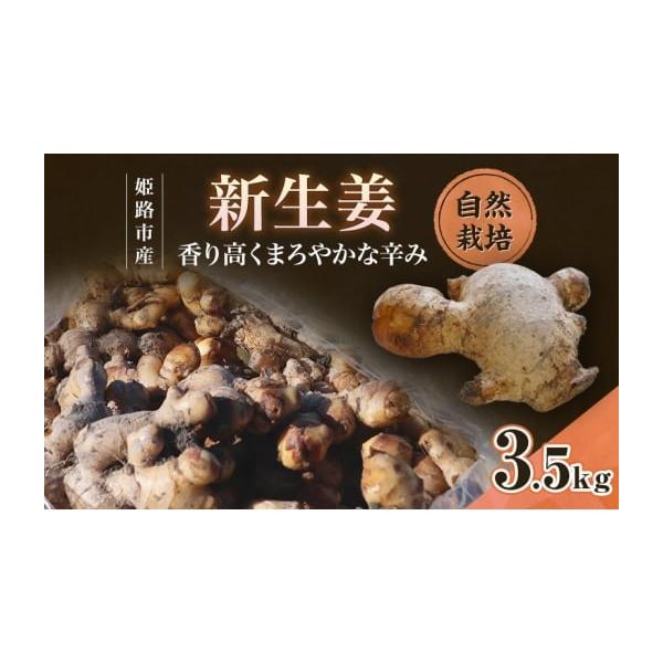 容量生産地：兵庫県姫路市生産：ありありファームブランド：姫路産生姜品種：高知大生姜収穫：2025年10月〜12月頃お届け量：3.5kg保存期間：常温 約1ヶ月　　　　　　　 冷凍 約3週間　　　　　　　 蒸生姜 約3ヶ月最適保存温度：14〜...