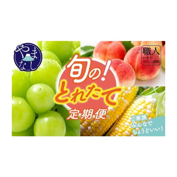 容量6月　甘々娘（とうもろこし）6本入り　　　  1本あたり約400ｇ〜500ｇ7月　桃　約1.8kg(6玉)9月　シャインマスカット　1.3kg (2〜3房) 消費期限ご到着後はお早めにお召し上がりください。発送期日2026年6月より、順...