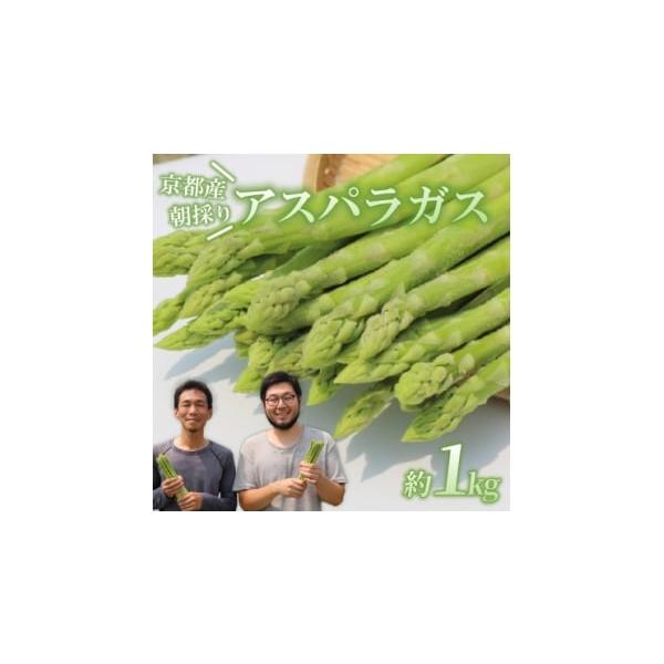 容量■お礼品の内容について・アスパラガス[1kg(L〜2Lサイズ)]原産地:京都府久御山町消費期限■賞味期限:出荷日+6日発送期日2026-03-01〜2026-04-30　※離島にはお届けできません。配送冷蔵 別送申込期日〜2026-03...