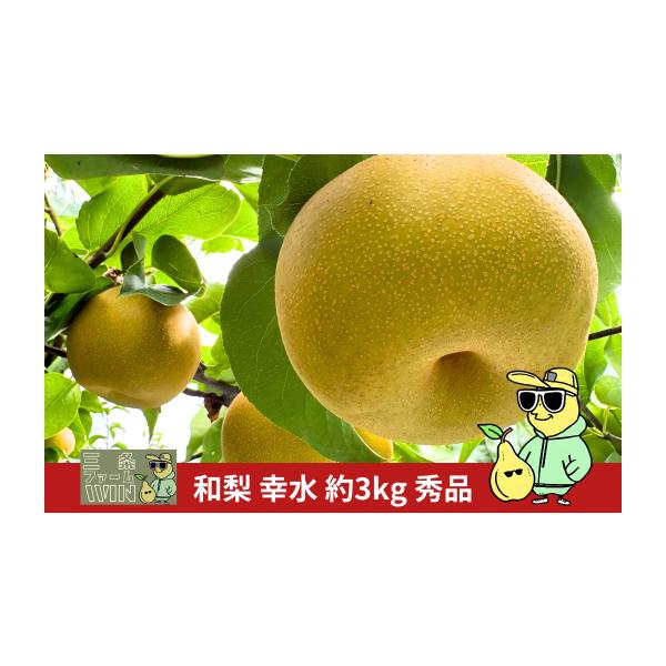 容量6~12個（合計約3kg）※生育状況により、個数が前後する場合がございます。消費期限発送日から1週間程度発送期日8月中旬〜9月上旬頃※天候や生育状況により、発送開始・終了時期が前後する場合がございます。※お申込み順に発送いたしますので、...