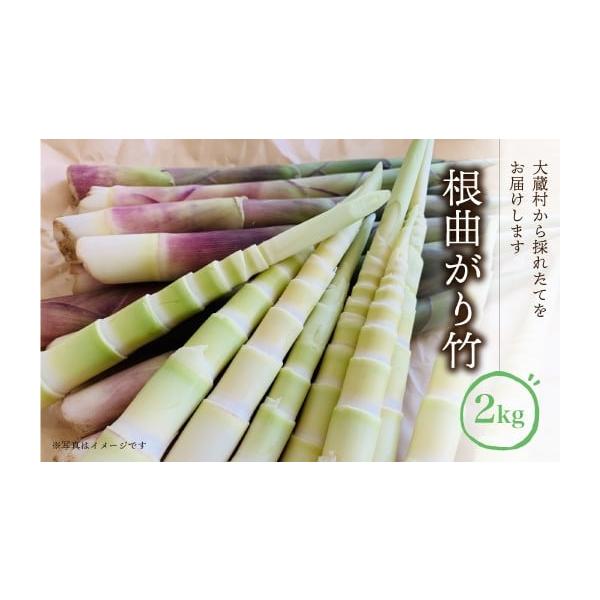 容量根曲がり竹 約2kg消費期限※生の状態でお届けするため、到着後はなるべくお早めにお召し上がりください。発送期日5月中旬〜6月中旬配送冷蔵 時間指定 別送申込期日6月上旬頃まで申込条件何度も申し込み可、オンライン決済限定