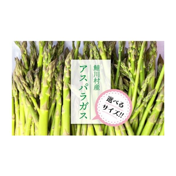 容量●Lサイズ：2.2kg消費期限生鮮食品の為、お早目にお召し上がりください。発送期日準備出来次第、受付順にて発送　※発送の際は、メールにてお知らせ・令和8年5月中旬〜令和8年9月上旬頃まで（前後する場合がございます）※6月下旬から7月中旬...