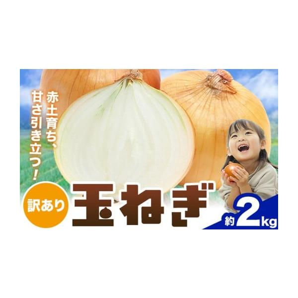 容量約2kg消費期限お早めにお召し上がりください。発送期日2026年4月下旬-6月上旬頃出荷配送常温 時間指定 別送申込期日5月上旬ごろまで ※但し、予定数量に達し次第終了事業者株式会社シグマサポート申込条件何度も申し込み可