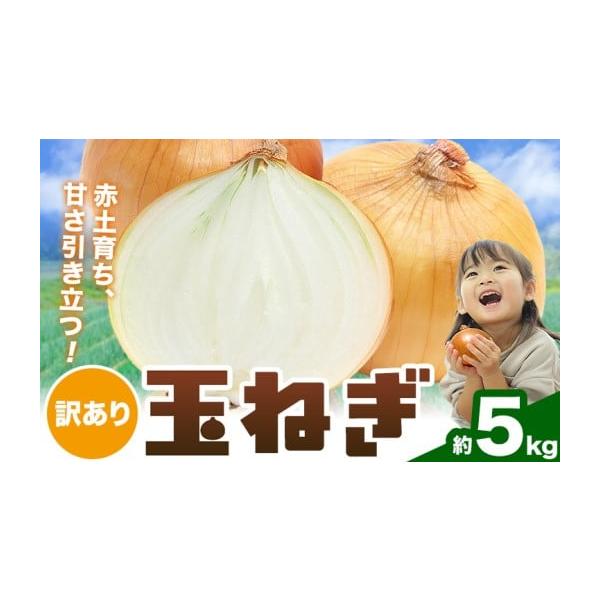 容量約5kg消費期限お早めにお召し上がりください。発送期日2026年4月下旬-6月上旬頃出荷配送常温 時間指定 別送申込期日5月上旬ごろまで ※但し、予定数量に達し次第終了事業者株式会社シグマサポート申込条件何度も申し込み可