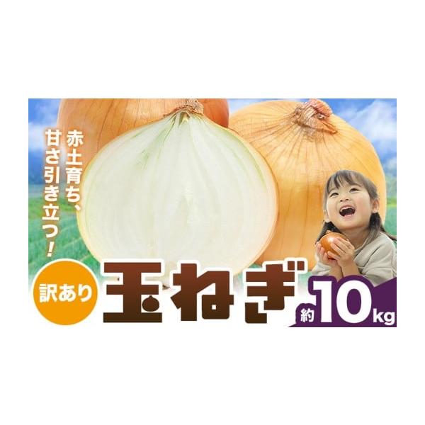 容量約10kg消費期限お早めにお召し上がりください。発送期日2026年4月下旬-6月上旬頃出荷配送常温 時間指定 別送申込期日5月上旬ごろまで ※但し、予定数量に達し次第終了事業者株式会社シグマサポート申込条件何度も申し込み可
