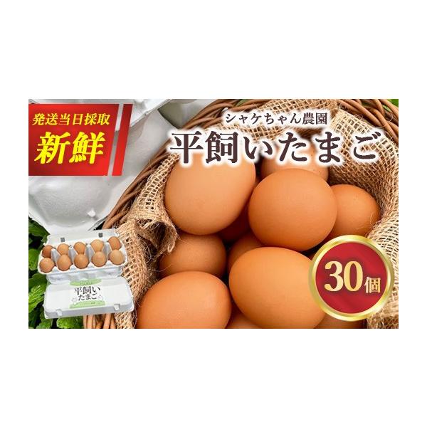 ふるさと納税 卵（鶏、烏骨鶏等） 神奈川県 相模原市 シャケちゃん農園